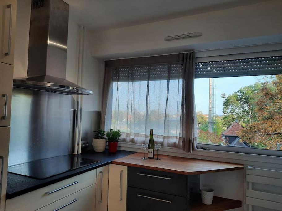 Chez Alice Apartment Colmar Ngoại thất bức ảnh